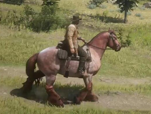 1675904172856298.png QQ浏览器截图20230209085209.png