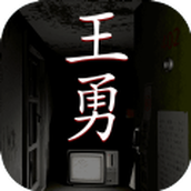 孙美琪疑案王勇