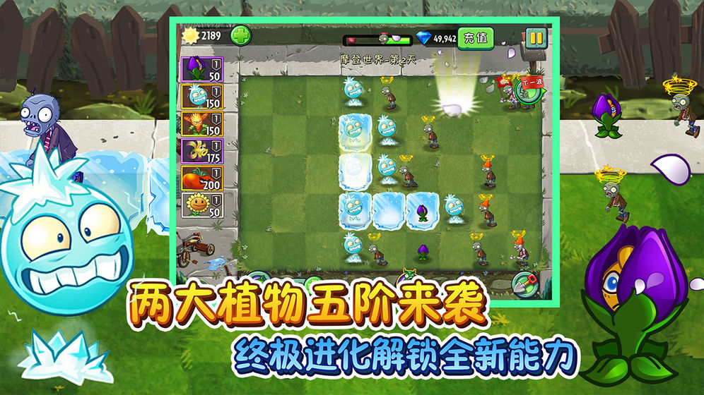 植物大战僵尸2最强王者游戏