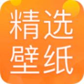 熊猫壁纸手机正式版