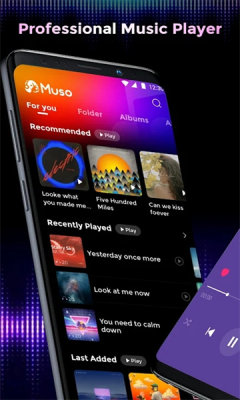 Muso Player软件