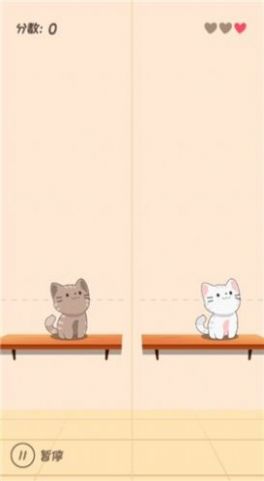 节奏快斩猫猫安装
