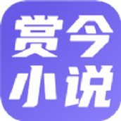 赏今小说
