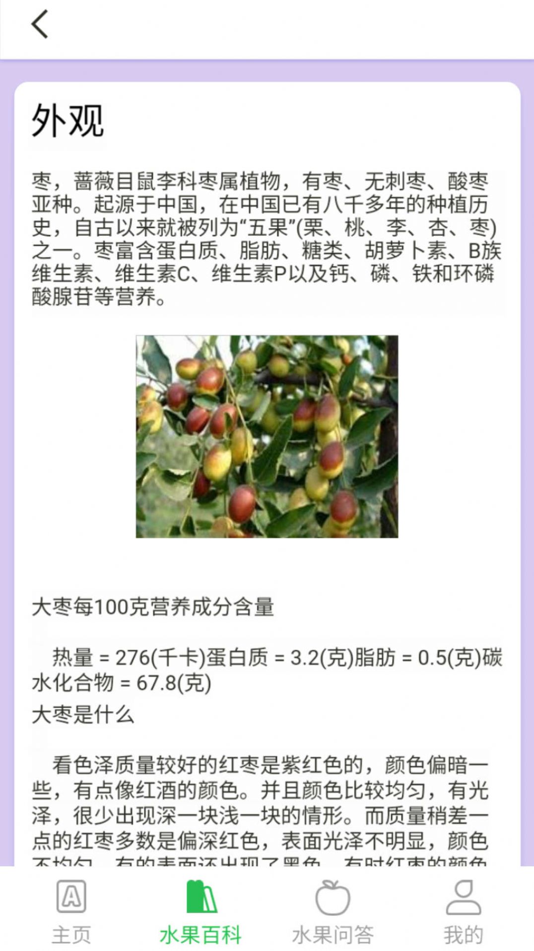掌上果园app