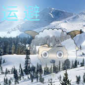 喜灰之运避安装包