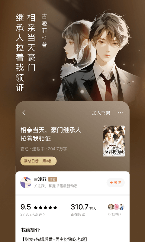 番茄小说