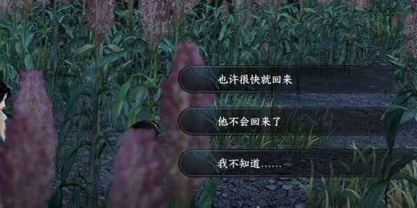 逆水寒手游奇遇小吉羌笛不须怨怎么完成?