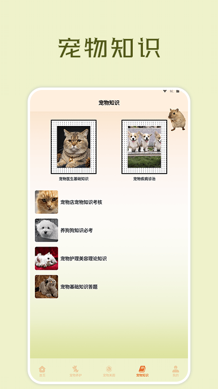 宠物小组件盒子app