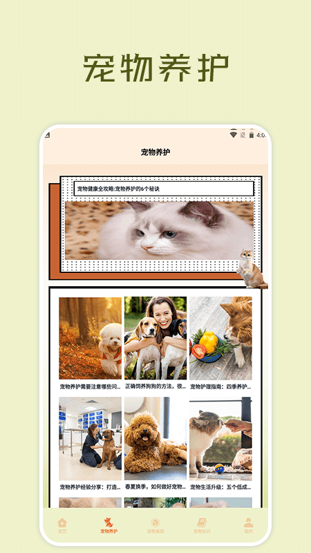 宠物小组件盒子app
