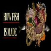 How fish is made游戏