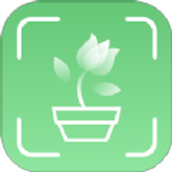 青松奇源app安卓版