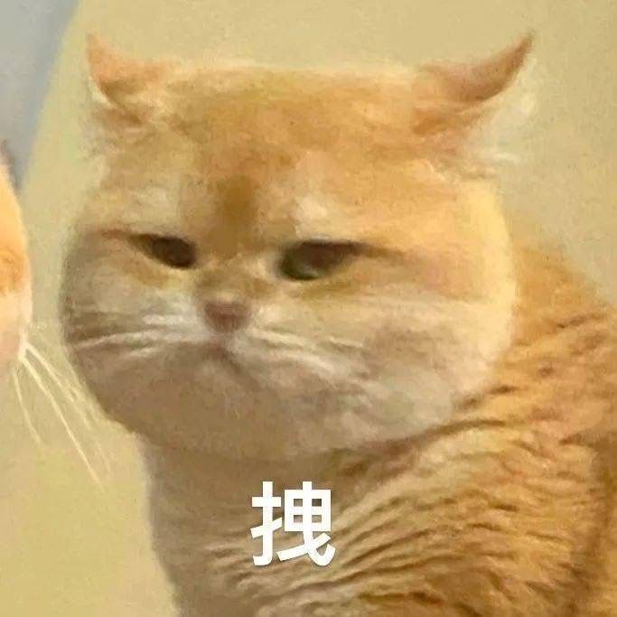 不朽家族