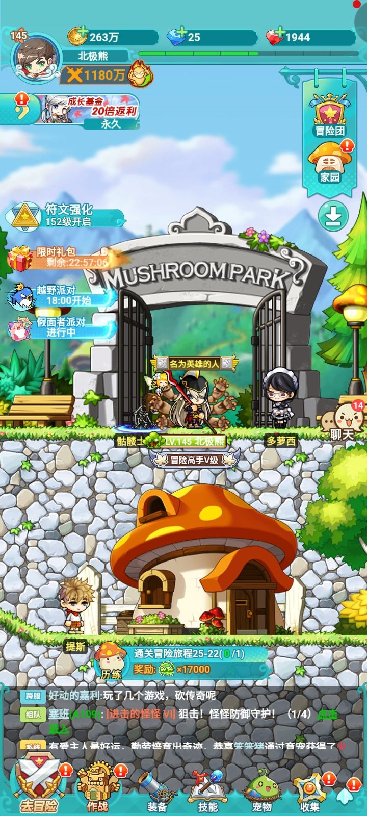 冒险岛联盟的意志