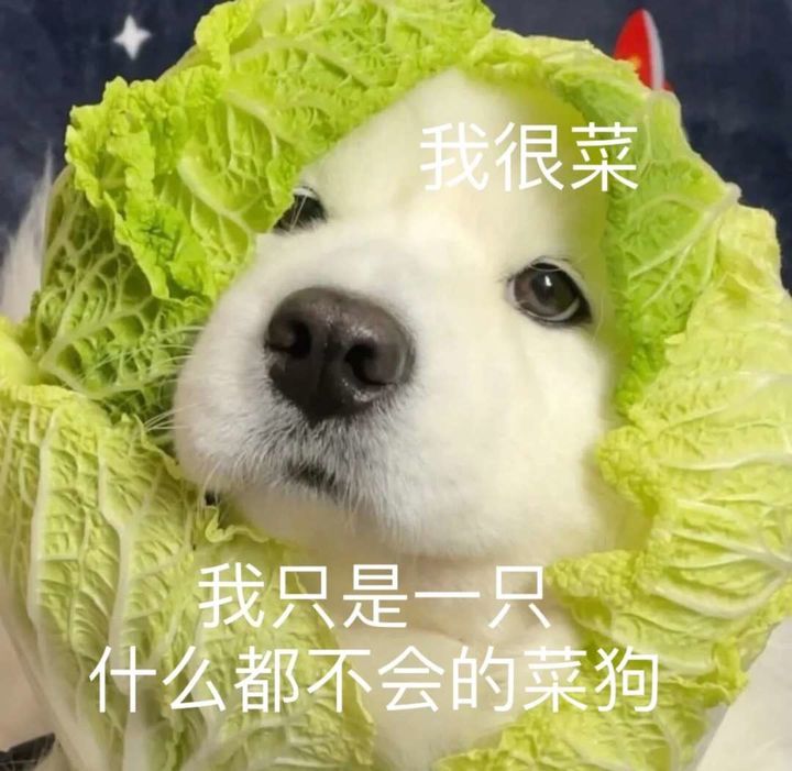 抽卡荒岛