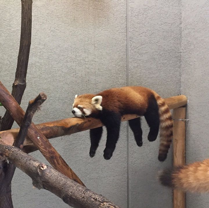疯狂突击