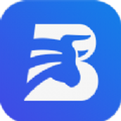 BiBull app