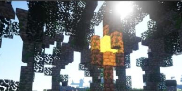 《我的世界》Void服务器IP地址介绍