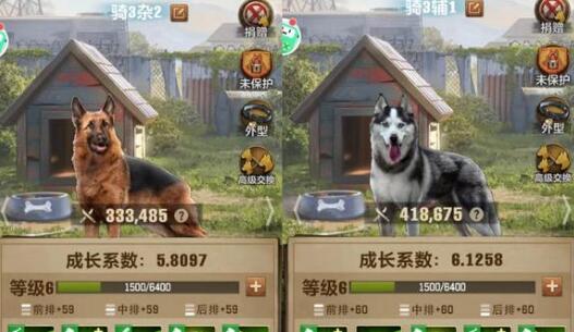 荒野迷城