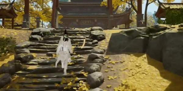 射雕