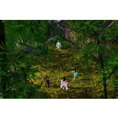 下一站江湖新手村神功在哪里