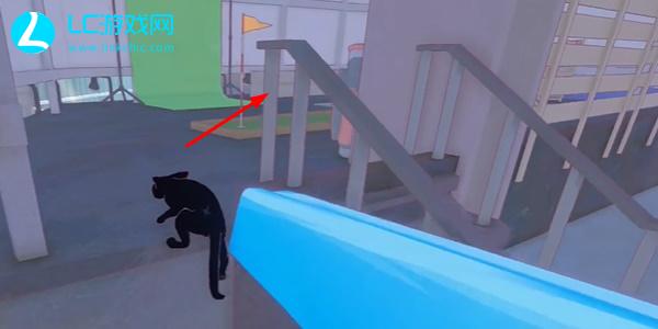 小猫咪大城市鸟巢在哪里