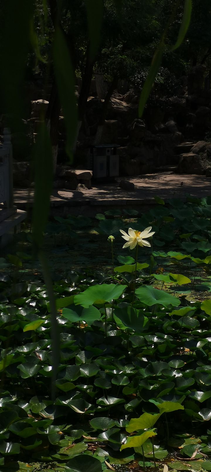 陶艺大师