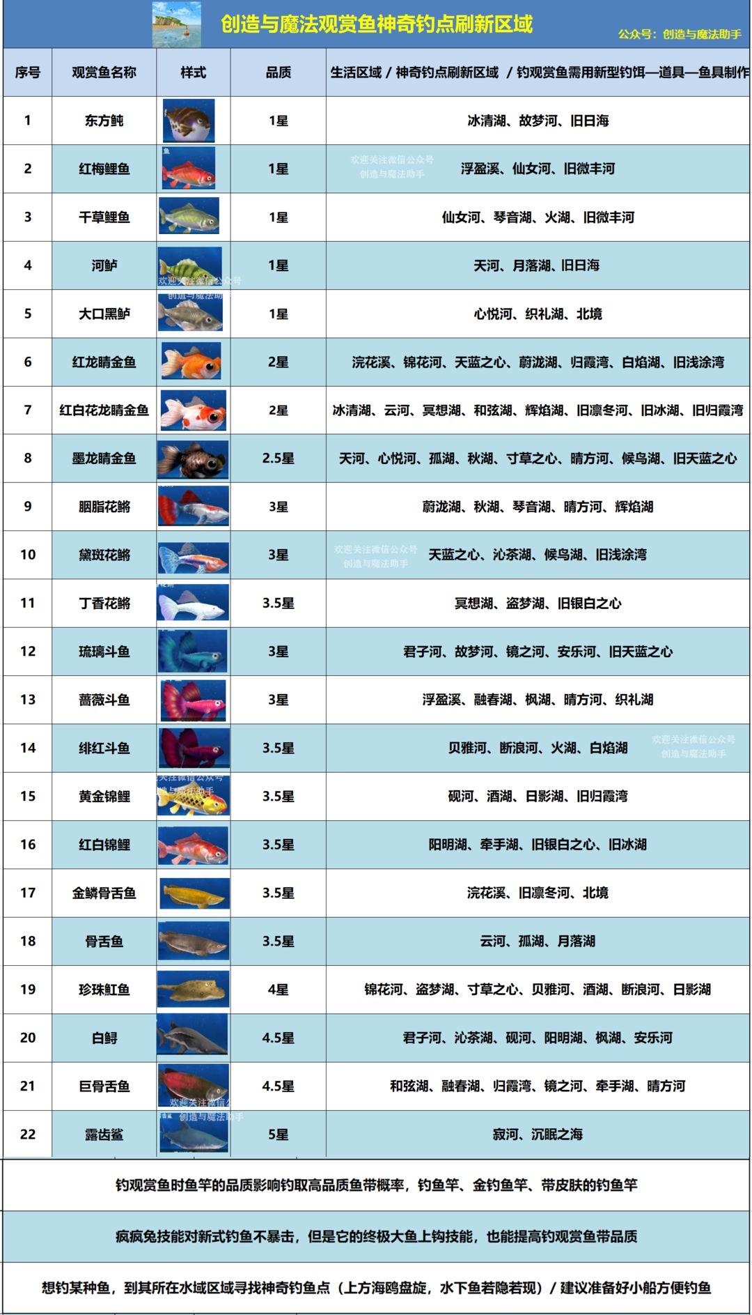 创造与魔法