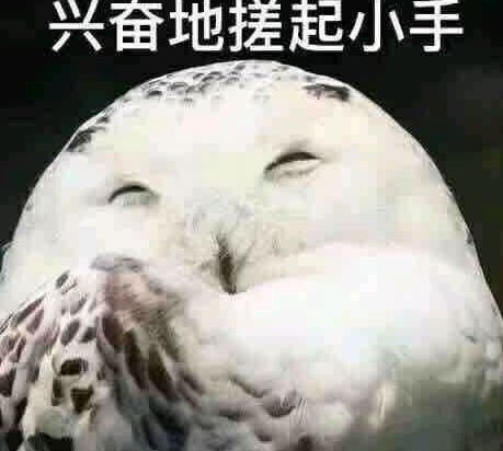 幻想名将录