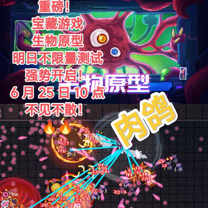 生物原型