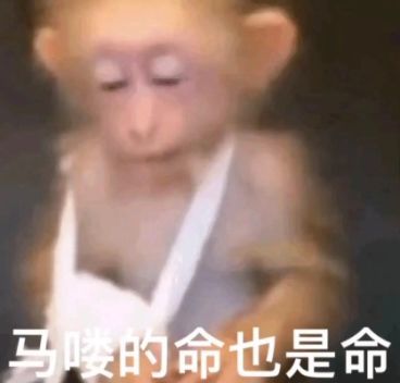 风之旅迹