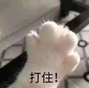 风之旅迹