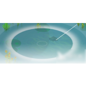 卡通农场钓鱼攻略