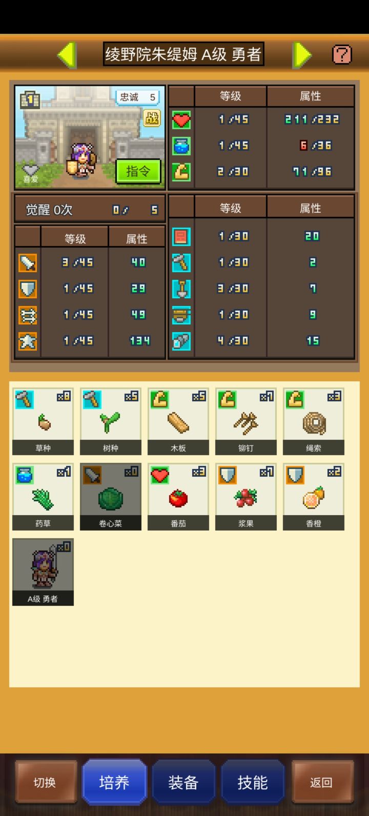王都创世录