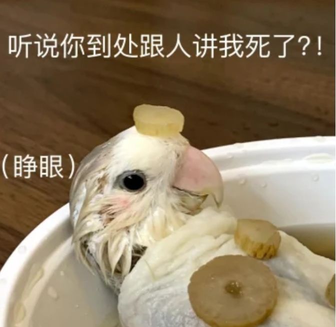 我在空洞世界斩神