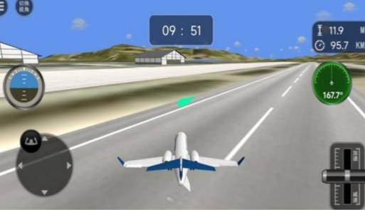 雄鹰飞行空中较量无广告版