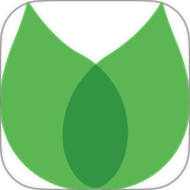 大师链