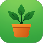 植迹
