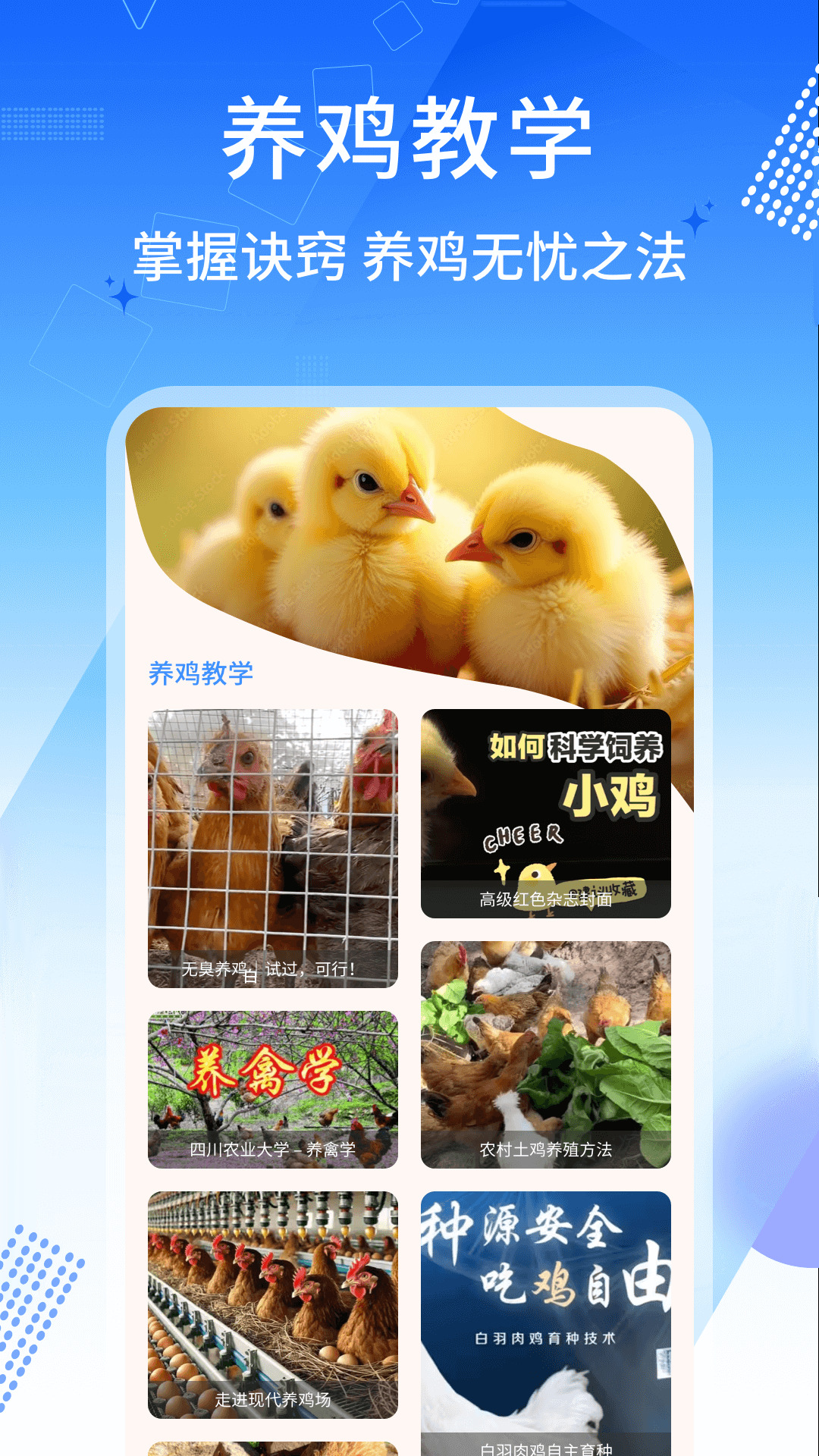 养鸡宝