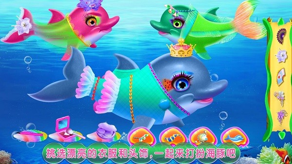 海豚表演馆