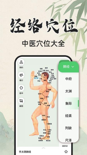 3D人体解剖图