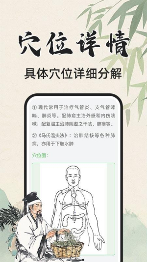 3D人体解剖图