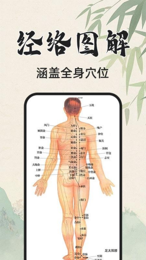 3D人体解剖图