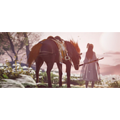 射雕手游网易官网入口在哪-官网入口地址一键获取