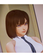 二次元老婆学院 v1.0