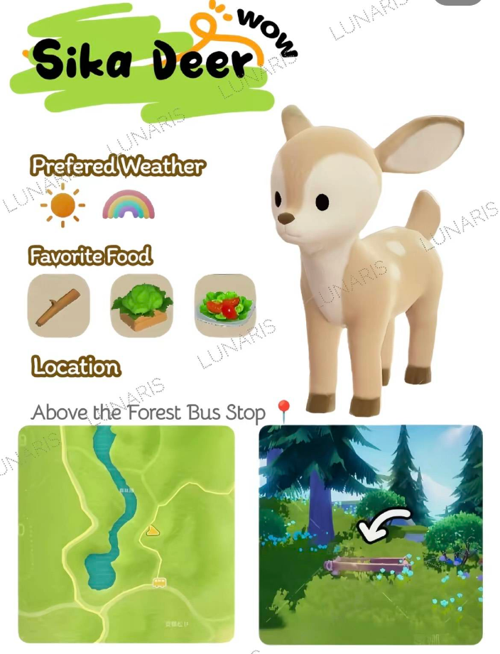 《心动小镇》全动物食槽具体位置介绍