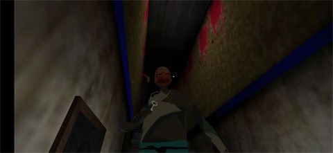 双胞胎奶奶2