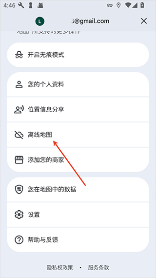 Google 地图