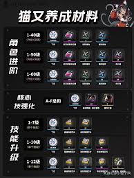 绝区零照养成材料需求有哪些