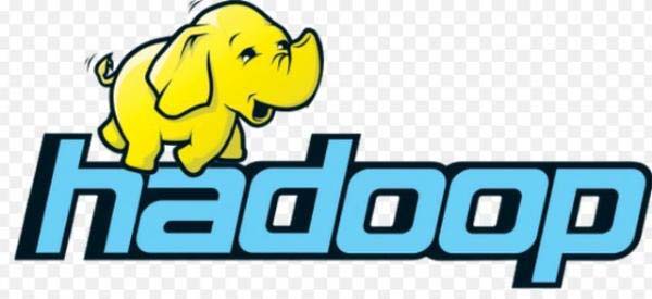 Hadoop和企业信息管理：利用大数据的解决方案