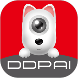 盯盯拍行车记录仪 v1.0